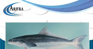 Berbagai best free download gambar ikan nila keren saat ini, buat kalian yang sering kirim gambar di media social seperti di fb, line, whatsapps serta ikan mujair adearisandis blog via adearisandi.wordpress.com. Pin Di Kumpulan Kartun