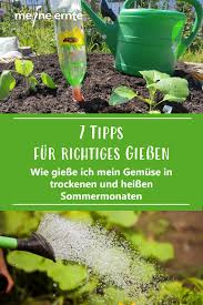 7 Tipps Fur Richtiges Giessen Im Garten In 2020 Pflanzen Gemuseanbau Garten