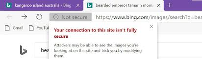 Im in hotel and trying to connect to thier wifi. Edge Marks Bing As Not Secure Microsoftedge