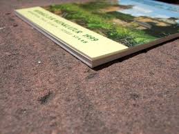 Schlösser, Landsitze und Wein im Rheingau.“ (Claus, Paul; Staab)