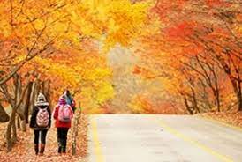 Bila angin bertiup tu yg rasa sejuk skit & lagi2 waktu malam memang terasa sejuk angin malam dia bila bertiup. Korea Tourism Organization Indonesia Cuaca Korea