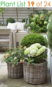 Or 15 in.) (21) see lower price in cart. 24 Stunning Container Garden Planting Ideas A Piece Of Rainbow
