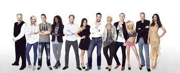 David hasselhof bei promi big brother | sat.1. Promi Big Brother 2014 Alle Kandidaten In Der Bildergalerie