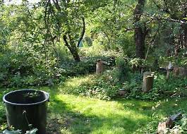Rasenwegfuhrung Lichte Laubbaume Romantisch Garten Schattengarten Garten Ideen