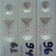 Photograph Of Sd Bioline H Pylori Rapid Antibody Test Results Left Download Scientific Diagram