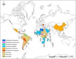 Joko dari jendela smp, no wa rey bong real 2020 Frontiers Invasion And Dispersal Of Biomphalaria Species Increased Vigilance Needed To Prevent The Introduction And Spread Of Schistosomiasis Medicine