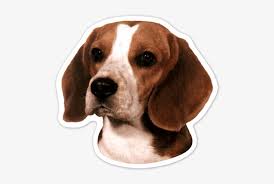 Get unlimited access to hundreds of free patterns. Car Motorbike Stickers Beagle Dog Portrait Counted Cross Stitch Pattern Transparent Png 500x471 Free Download On Nicepng