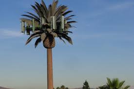If you have good palm pictures that can be added to my gallery, let me know. The Bizarre History Of Cellphone Towers Disguised As Trees Vox