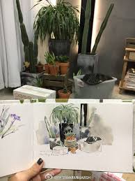 温泽warmmarsh的照片 微相册 watercolor plants plants table settings