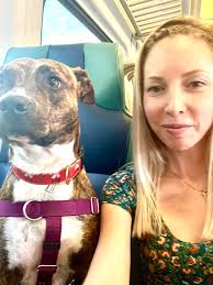 Puppy hiking and exploring the iced creek