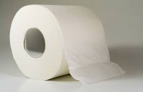 Resultado de imagem para papel higiênico