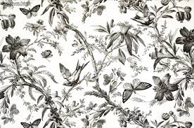 Black And White Toile Fabric By The Yard New Fabric Black Toile Fabric Bird Butterfly Passion Flower A Black Bird Toile Fabric A Toile Wallpaper Room Wallpaper Bathroom Wallpaper Black And White