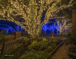 Winter Walk Of Lights Virginia Is For Lovers Winter Walk Winter Break