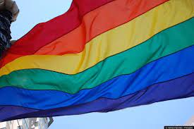 From the bisexual pride flag to the trans pride flag, here's a guide to all the different designs. Gay History Why Be Lgbt When You Can Be Lgbtiqcapgngfnba The Story Of An Escalating Acronym Timalderman