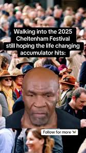 The Chase Meme Cheltnham