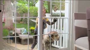 It's built to resist pet hair as easily as odors or stains and has an excellent price point as well. Lowe S Tv Commercial Free Installation Of Stainmaster Carpet And Pad Ispot Tv