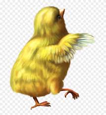 Easter Deco Chicken Png Clipart Picture Chicken Gif Png Transparent Png 550707 Pikpng Use it in your personal projects or share it as a cool sticker on tumblr, whatsapp, facebook messenger, wechat, twitter or in other messaging apps. easter deco chicken png clipart picture