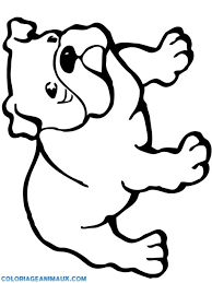 dog for coloriage recherche google coloring page bulldog drawing animal pages de feuilles