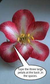 Sugar Amaryllis Tutorial Sugar Flowers Tutorial Sugar Flowers Gum Paste Flowers