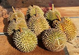 But to find some you may have. Syrian Durio Fruit Spine Prickly Sharp Strong Smell Piqsels