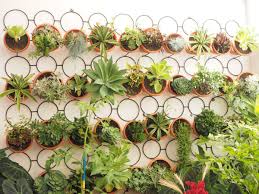 Take your love of succulents to new heights with this simple diy planter. Antigua Gardens Vertical Succulent Garden Antiguadailyphoto Com