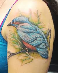 Colorful Bird Tattoo 1351 Jpg