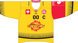 Rögle bk örebro hockey timrå ik skellefteå aik växjö lakers. Official Jerseys And Socckeys Now On Sale