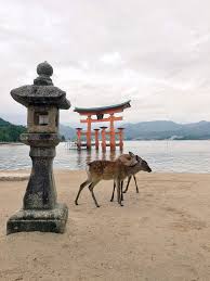 Check spelling or type a new query. Santuario De Itsukushima 3 Wow