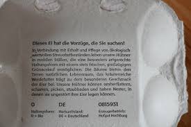 Keramik hahn und henne, zwei verrückte hühner als garten dekoration von margit hohenberger aus hof in oberfranken. Bio Eier Auch Aus Dem Supermarkt Weidehuhn Eier Und Hahn Henne Testschmecker