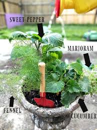 We did not find results for: Quick And Easy Seeds To Grow With Kids And First Time Gardeners