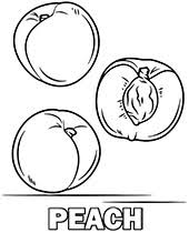 Supercoloring.com is a super fun for all ages: Wild Cranberry Coloring Sheet To Print