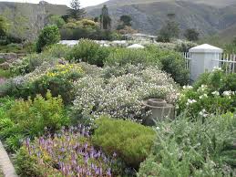Pin By Lucy Schnell On Planting Textures Waterwise Garden Dutch Gardens Dream Garden