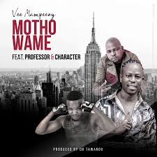 What do you think about this song? Vee Mampeezy Dumalana Audio Video Naijaremix