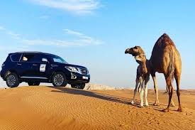 Than quad biking tour is best for you. Tripadvisor Desert Safari With Bbq Dinner Quad Bike And Camel Ride Experience Provided By Desert Fun Tourism Llc Dubai Emirate Of Dubai