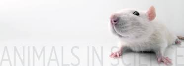 Nov 01, 2019 · alternatives to animal testing will be discussed in more detail in part 2 of this review; Scientific Problems American Anti Vivisection Society