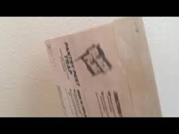 Pantry pest learn with flashcards, games and more — for free. Pantry Pest Trap Black Flag Youtube