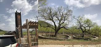 Aujourd'hui table de jardin alu et verre extensible, le salon de plantation ne s'amoindrit pas à un quotidien bureau et nombreuses chaises ; Old Chestnut Tree Garden Urban Sketchers