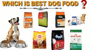 Best Dog Foods For 2020 Https Petstutorial Com Best Dog Food Feed Id 62 Unique Id 5e28597b01cdf Best Dog Food Best Dog Food Brands Best Puppy Food Brand