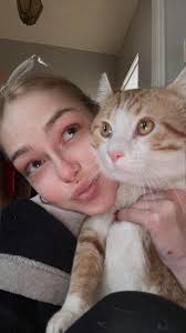 Lost black tuxedo cat in Mt Wellington?