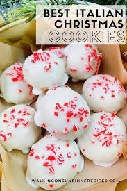 There is a large variety of these cookies, and the most famous are the spiced tozzetti romani, known as lazio christmas cookies, made with almonds or walnuts and sweetened with honey, and the hazelnut tozzetti di viterbo which. Best Italian Christmas Cookies Walking On Sunshine Recipes