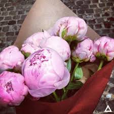 Maybe you would like to learn more about one of these? Buy Yourself Flowers Rebecca Campbell