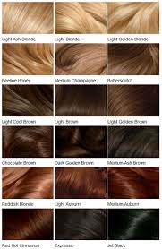 Hair Colour Shades In 2019 Clairol Hair Color Hair Color