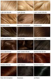 hair colour shades in 2019 clairol hair color hair color