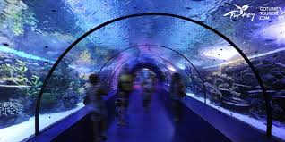 Antalya Aquarium In Antalya Turkey Go Turkey Tourism Turkey Tourism Antalya Aquarium