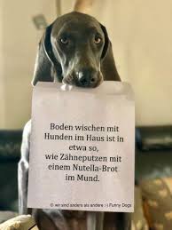 Pin Von Nokre Auf Humor Und Spruche Lustige Bilder Spruche Totlachen Hund Witze Lustige Spruche