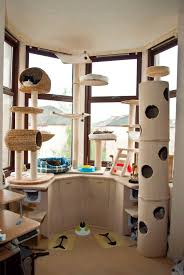 Maybe you would like to learn more about one of these? Small Cat Room Design Ksa G Com