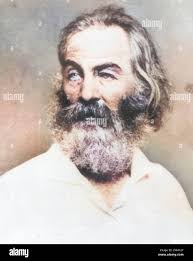 Mathew beard hi-res stock photography and images