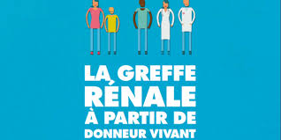 « pourquoi le rein ? Y A T Il Un Risque A Donner Son Rein