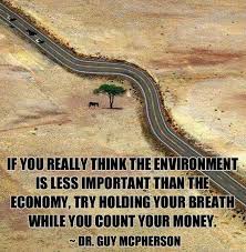 Environment Vs Economy Environmental Quotes Earth Save Mother Earth