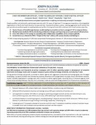 professionally written resume examples